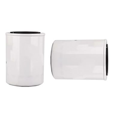 1000395855 WB202G Масляный фильтр для дизельного двигателя в Hydwell