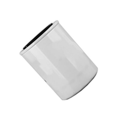 1000395855 WB202G Масляный фильтр для дизельного двигателя в Hydwell