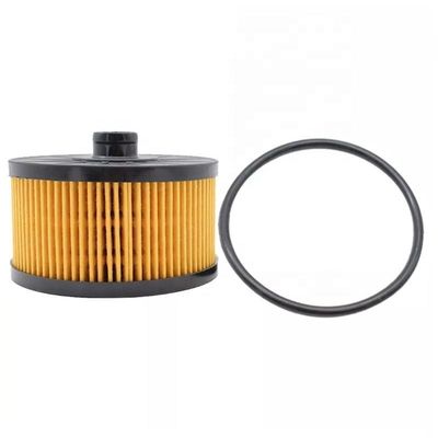 152095084R Части двигателя гидвелловских грузовиков Смазочный элемент фильтра масла для других тракторов