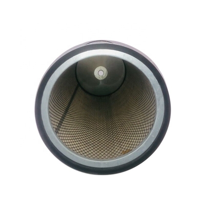Автозапчасти Компрессор воздушный фильтр P607224 1420051LR AF607224 OEM AF25545 Год Другие