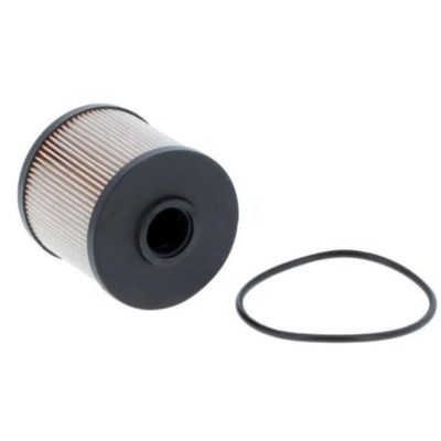 7983180 Фильтр топлива P55063 221899 44012612 7030876 3328573 PP2280800 FF550632 59055 901551 LX672D